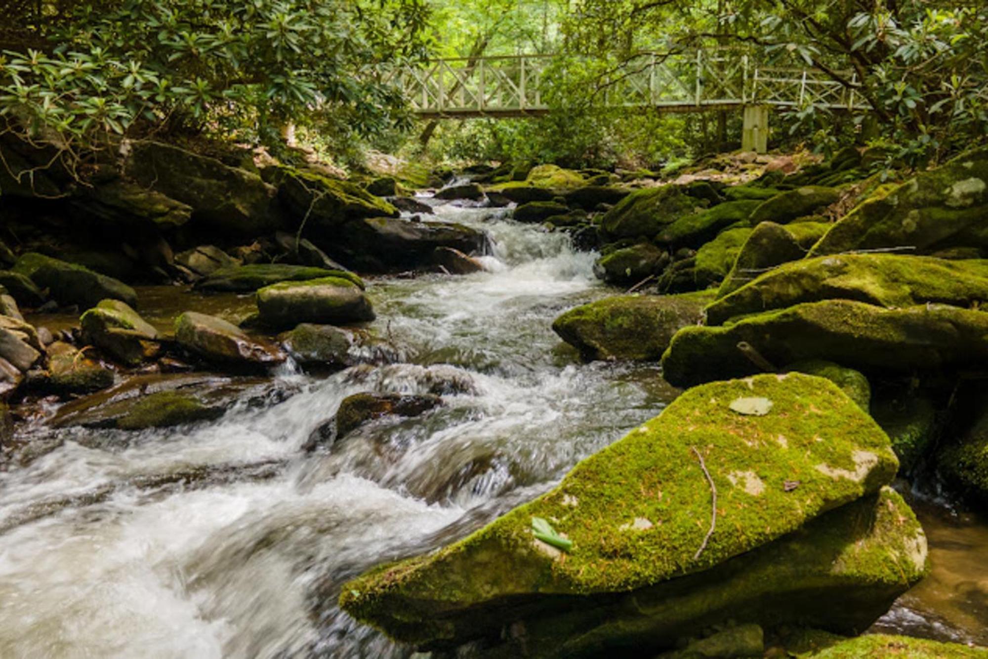 Creel Lodge At Middle Creek Otto 外观 照片